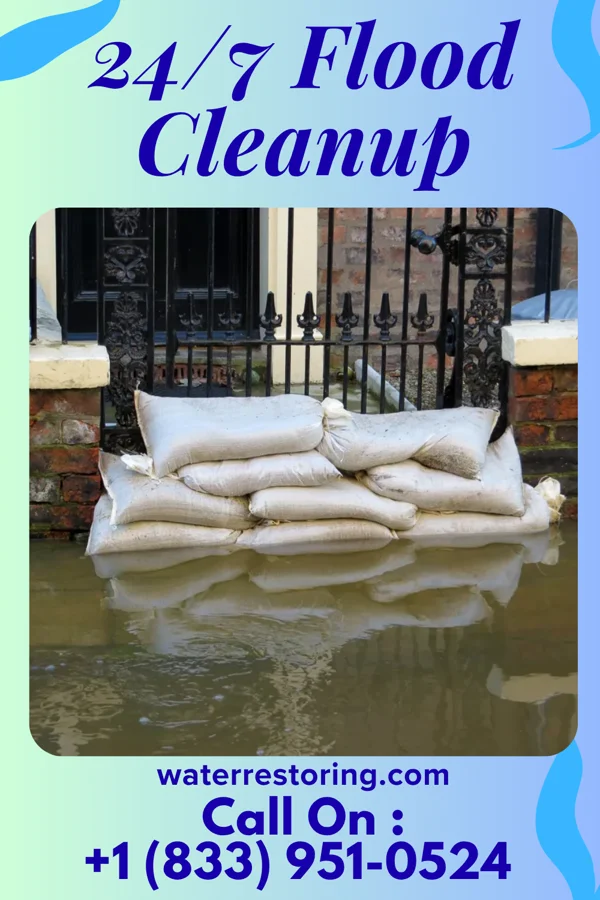 24/7 Flood Cleanup in Lanesboro, IA