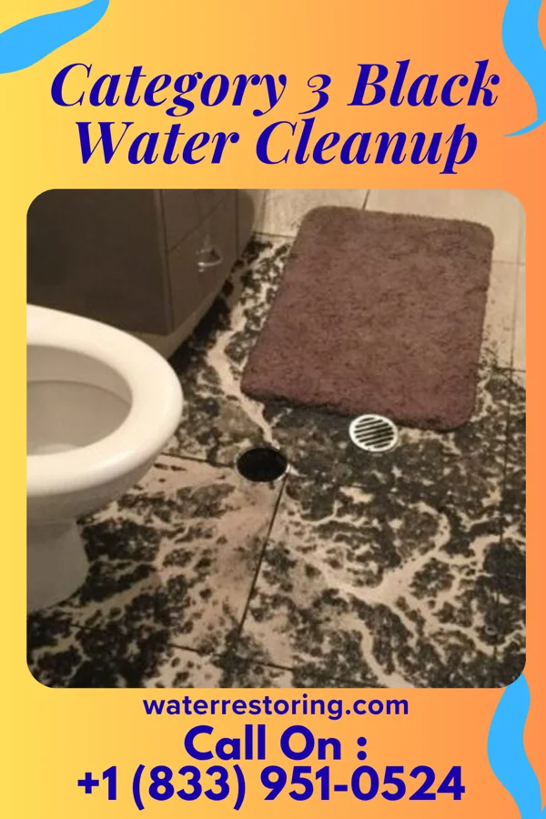 Category 3 Black Water Cleanup in Lanesboro, IA