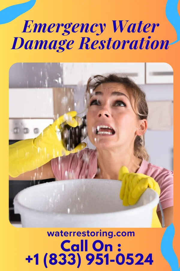 Emergency Water Damage Restoration in Lanesboro, IA