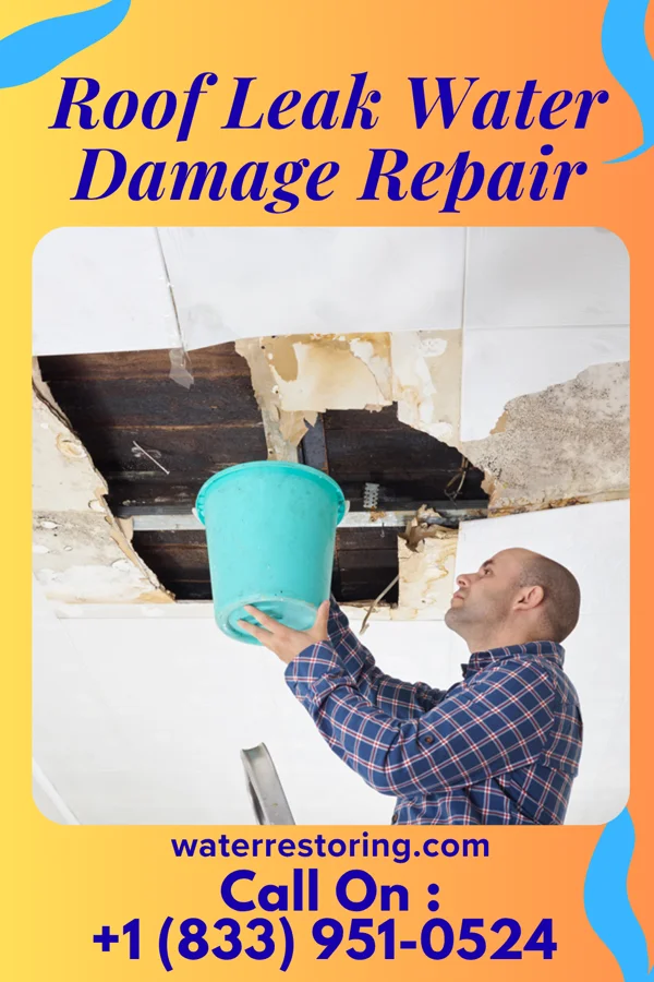Roof Leak Water Damage Repair in Lanesboro, IA